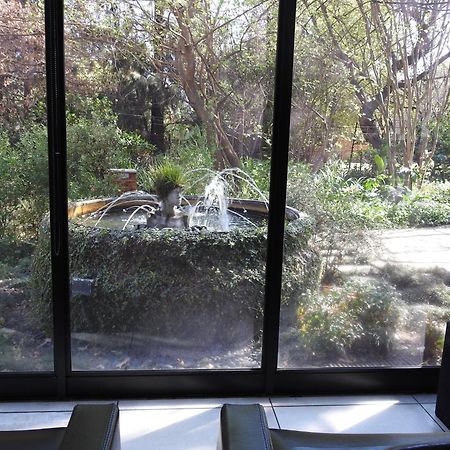 Willow Place Guest House Midrand Eksteriør billede